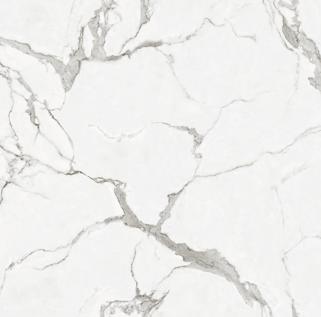Roma SPC Wall Panel reference product image by TrioPanels