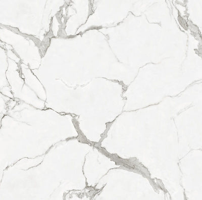Roma SPC Wall Panel reference product image by TrioPanels 